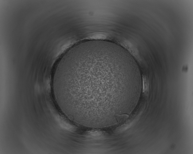 X0000093450300200710191109