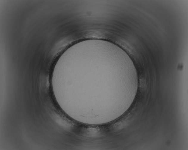 X0000093450302200710191109