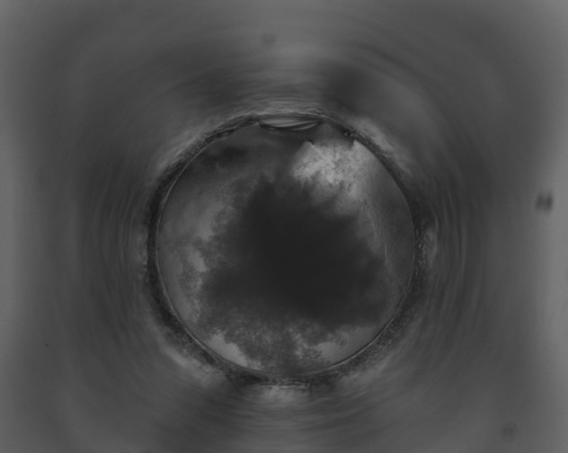 X0000093450303200710191109