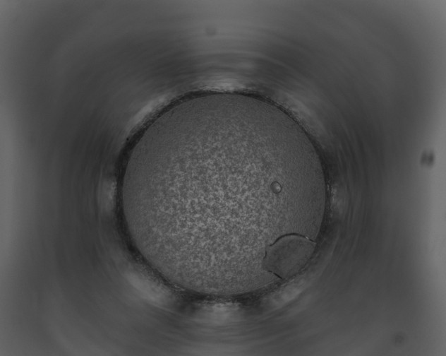 X0000093450304200710191109