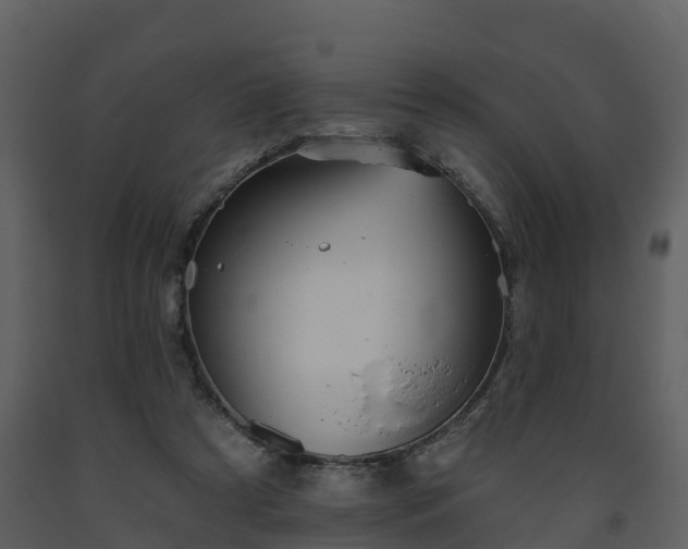 X0000093450305200710191109