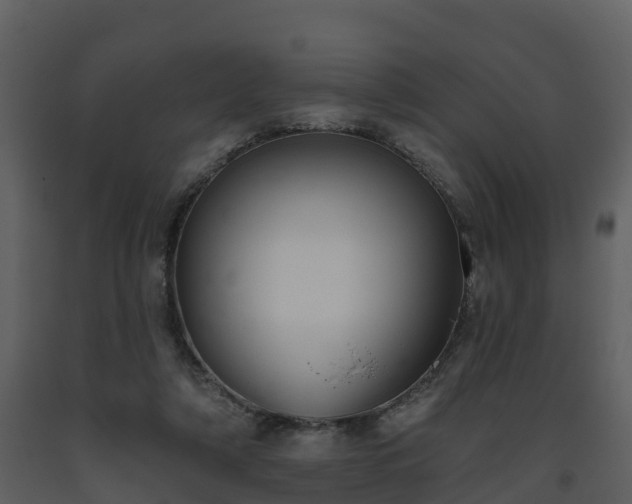 X0000093450306200710191108