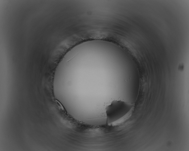 X0000093450307200710191108