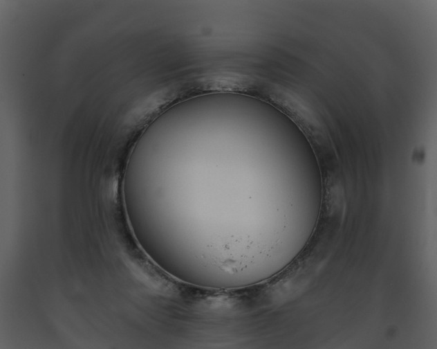 X0000093450310200710191108