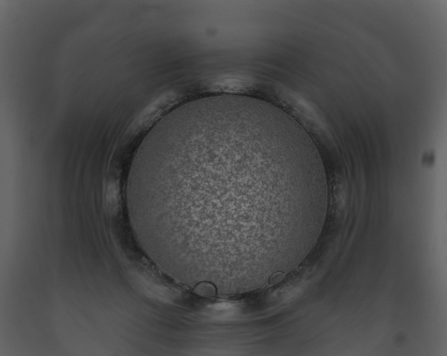 X0000093450312200710191108