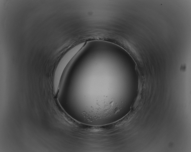 X0000093450313200710191108