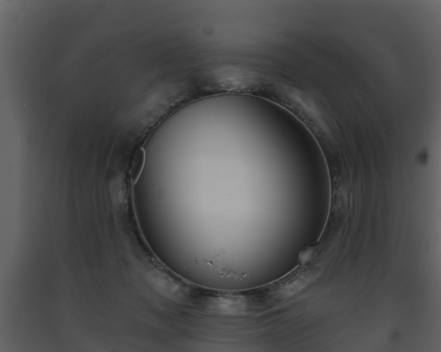 X0000093450317200710191108