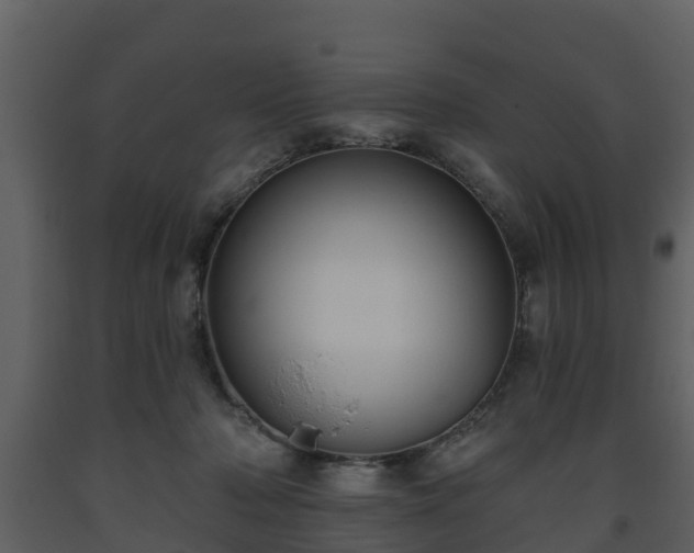 X0000093450318200710191108