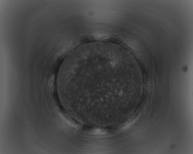 X0000093450319200710191108