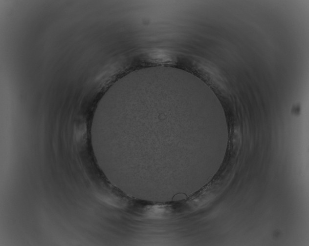 X0000093450320200710191108