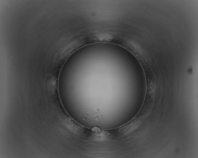 X0000093450321200710191108