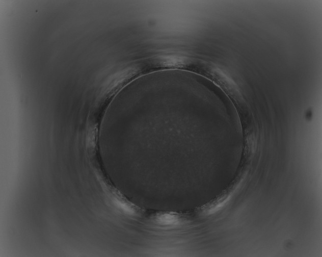 X0000093450325200710191108