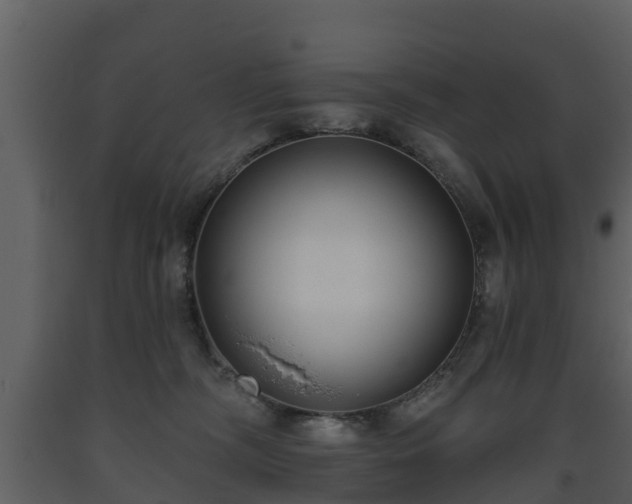 X0000093450326200710191108