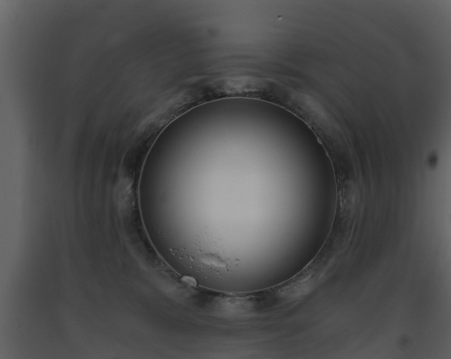 X0000093450327200710191108