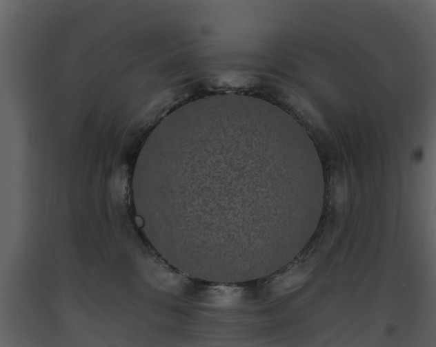 X0000093450328200710191108