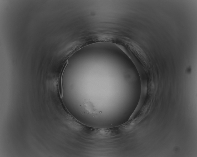 X0000093450329200710191108