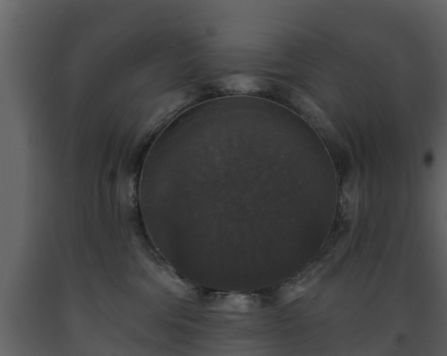 X0000093450330200710191108