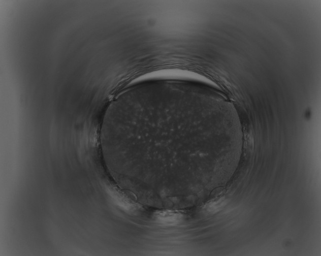 X0000093450331200710191108