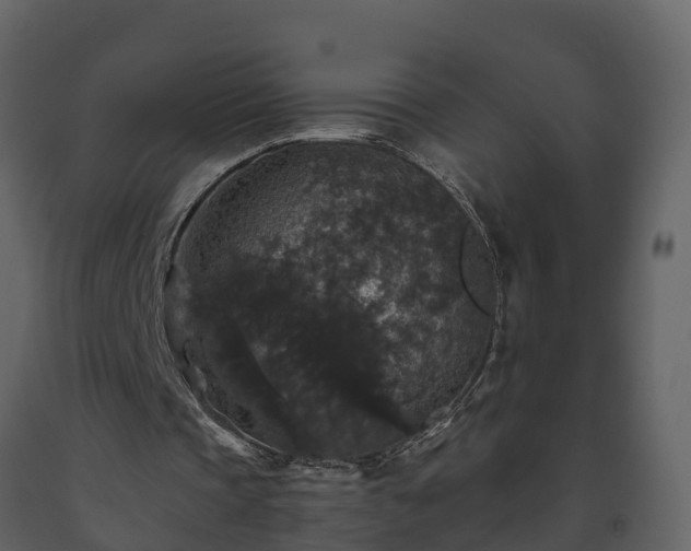 X0000093450337200710191107