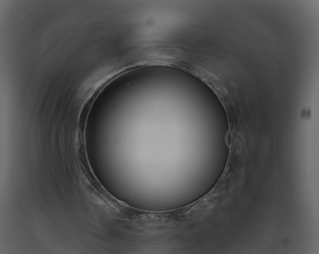 X0000093450338200710191107