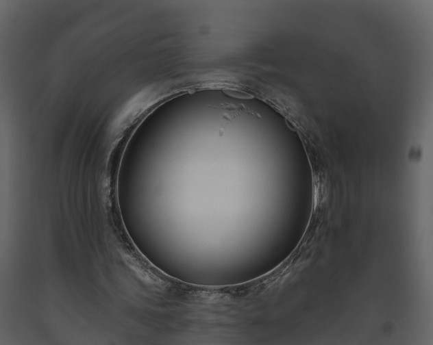 X0000093450339200710191107