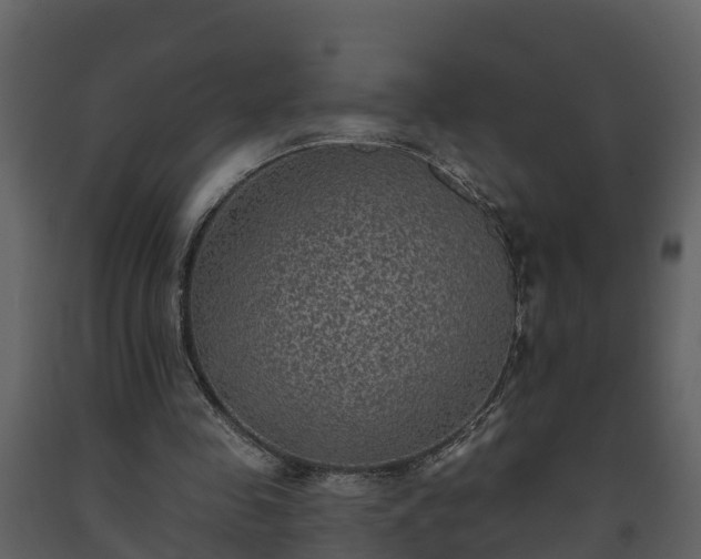 X0000093450341200710191107