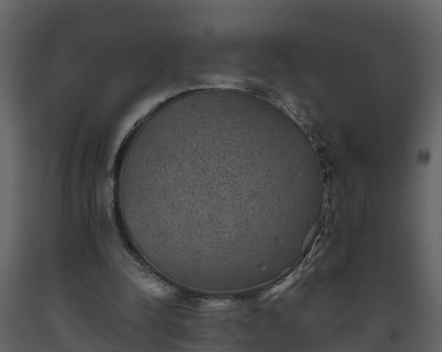 X0000093450342200710191107