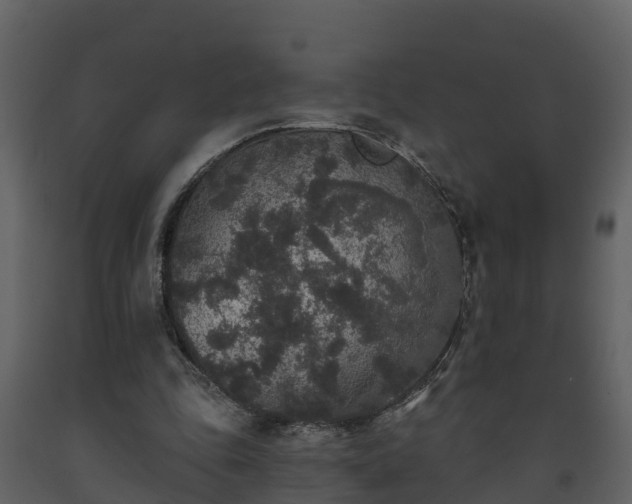 X0000093450343200710191107