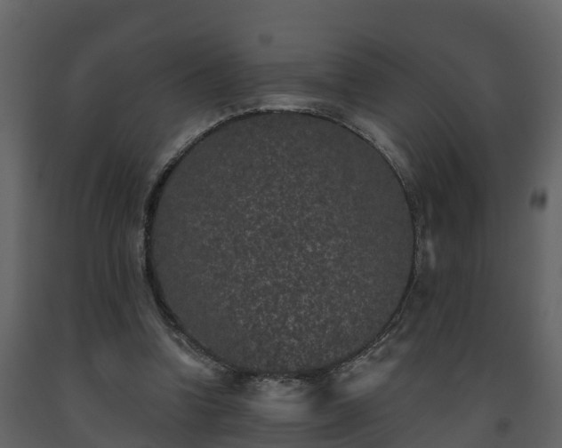 X0000093450346200710191107