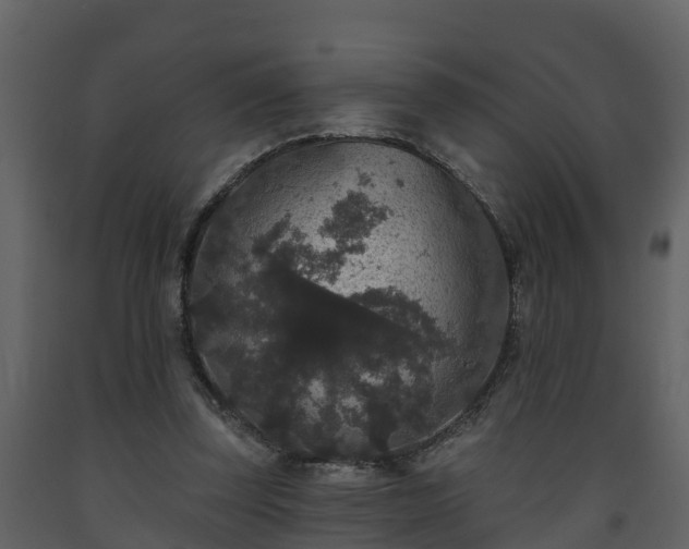 X0000093450347200710191107