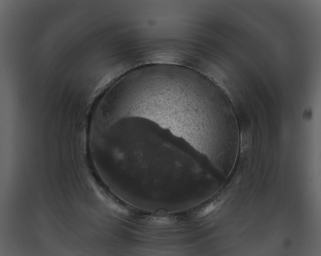 X0000093450349200710191107