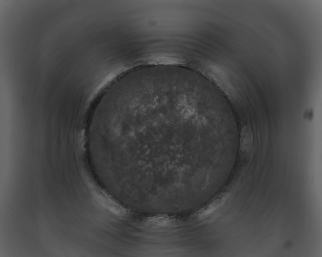 X0000093450351200710191108