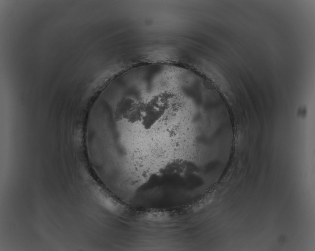 X0000093450353200710191108