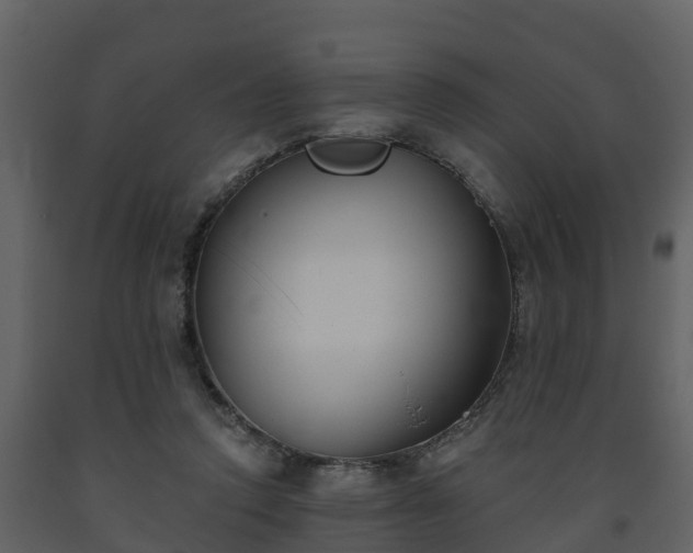 X0000093450354200710191108