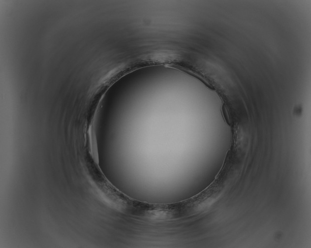 X0000093450356200710191108