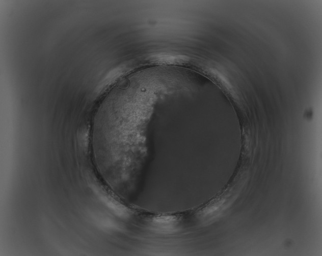 X0000093450357200710191108