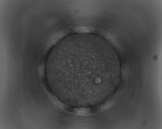 X0000093450359200710191108