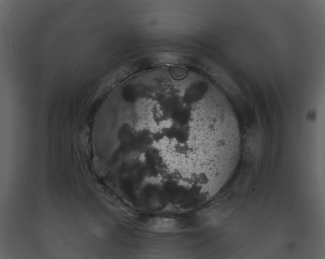 X0000093450361200710191108