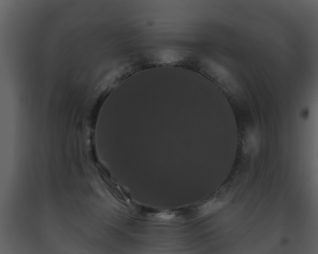 X0000093450366200710191108