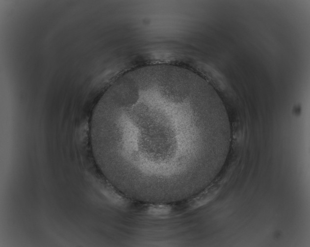 X0000093450369200710191108