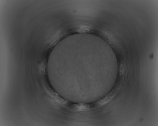 X0000093450370200710191108