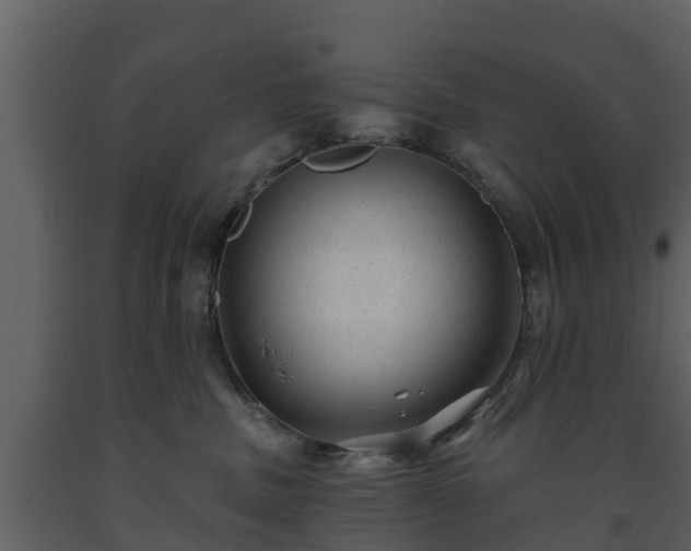 X0000093450379200710191108