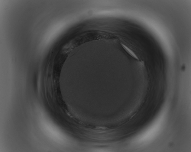 X0000093450382200710191108