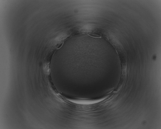 X0000093450383200710191108