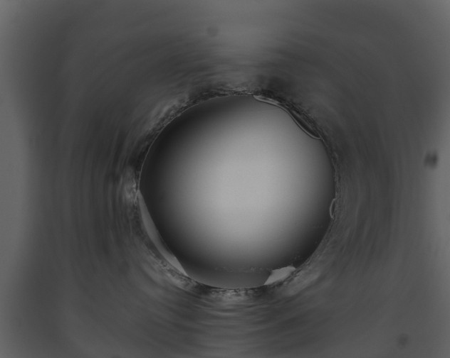 X0000093450384200710191108