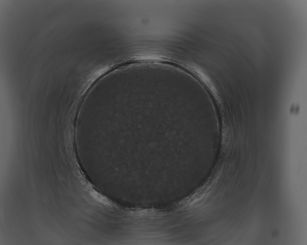 X0000093450385200710191107