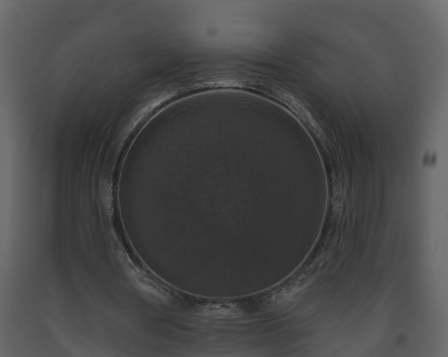 X0000093450386200710191107