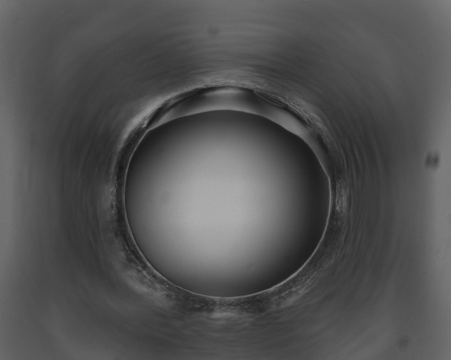 X0000093450388200710191107