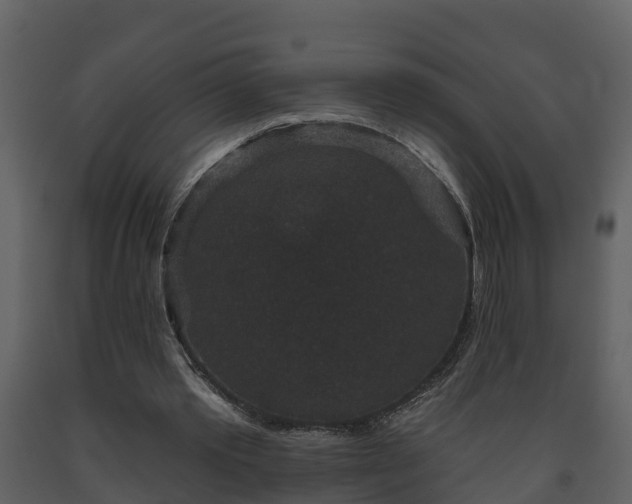 X0000093450389200710191107