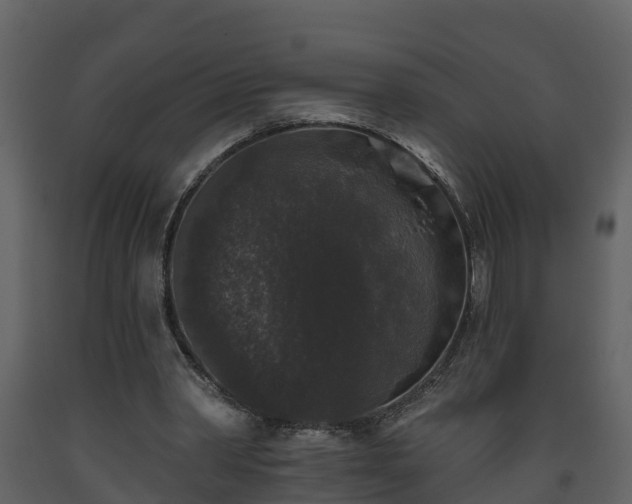 X0000093450390200710191107